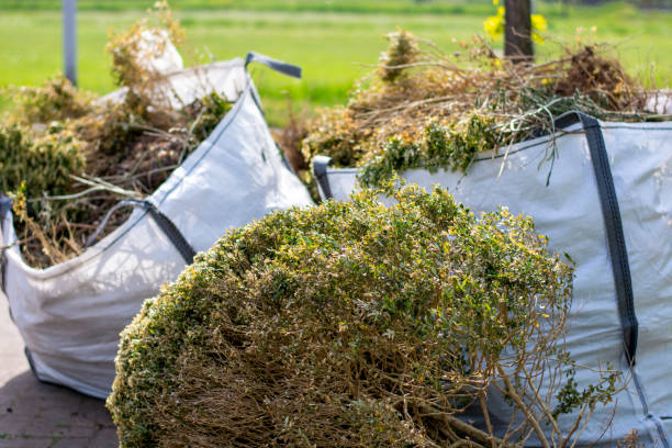 Best Furniture Removal Near Me  in East Bangor, PA